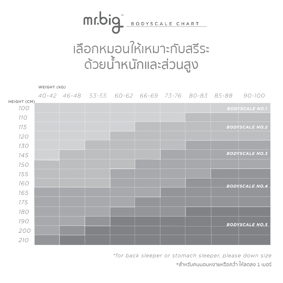 หมอนหนุน ERGONOMIC MR.BIG รุ่น NEW BODYSCALE PILLOW NO.5 สีขาว_3